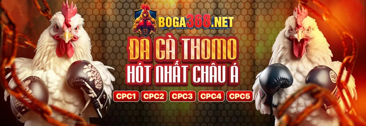 Chương trình hoàn trả u888vip1